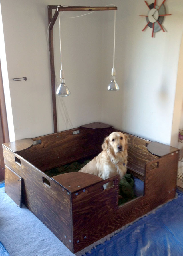 Whelping Box Construction Plans